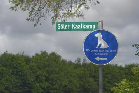 Dog Friendly Beach Sign with Cloudy Sky and Trees Stock Photos