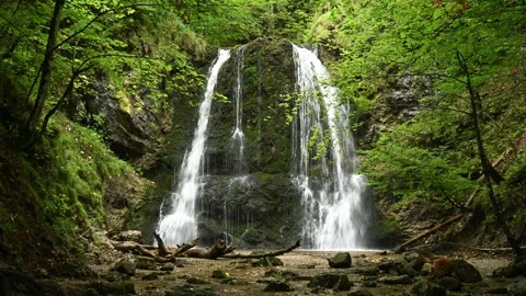 A dog in front of the main waterfall at Josephsthaler Wasserfälle Video stock 260935403