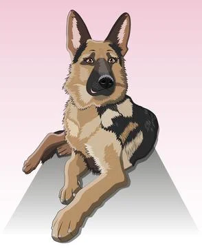 Dog German shepherd breed sitting and smile Stock Illustration