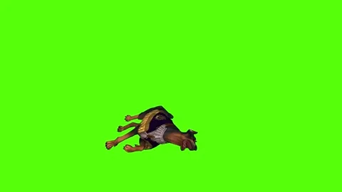 Dog Getting Hit Green Screen Animation 4K Rendering Stock Footage 295558081