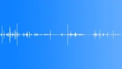 Dog Gnawing a BoneSound Effect