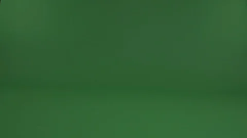 Dog on a green screen Stock Footage 103034689
