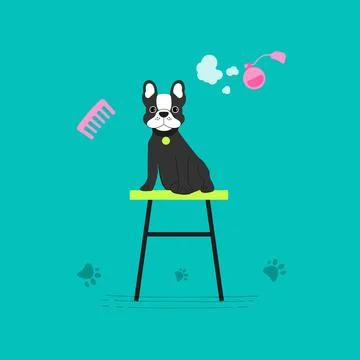 Dog grooming in flat style. Vector illustration Stock Illustration