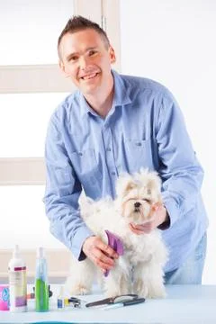 Dog grooming Stock Photos