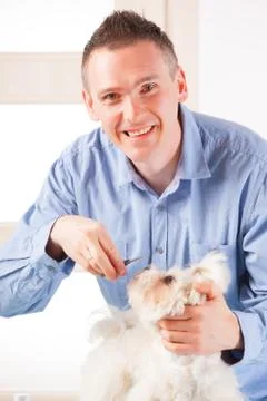 Dog grooming Stock Photos