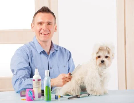 Dog grooming Stock Photos