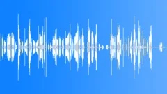 Dog Growling Interior Sound Effect