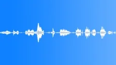 Dog growling long Sound Effect