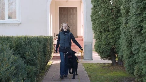 Dog handler guides trained dog through outdoor path near home Video stock 320432973