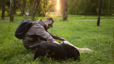 Dog handler trains and fooling around with Labrador Retrievers pets in park. Stock Footage 163843645