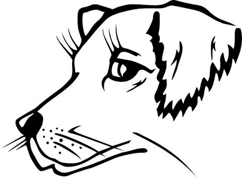 Dog head Stock Illustration