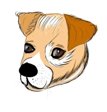 Dog Head Stock Illustration