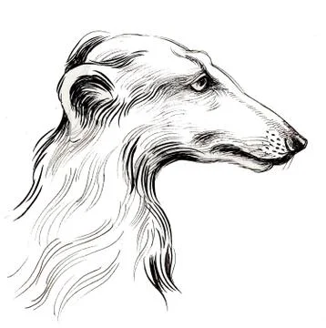 Dog head Stock Illustration