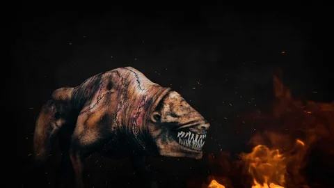 Dog in Hell Stock Footage 92159229