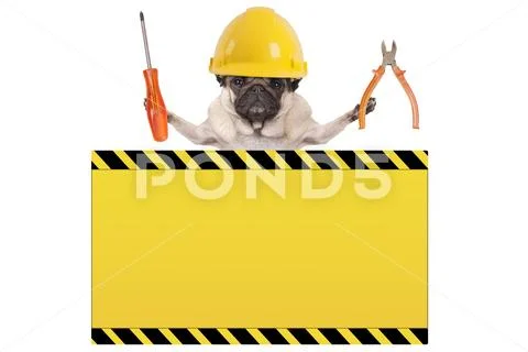 Dog holding pliers and screwdriver behind yellow warning sign Stock Photos
