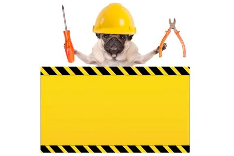 Dog holding pliers and screwdriver behind yellow warning sign Stock Photos