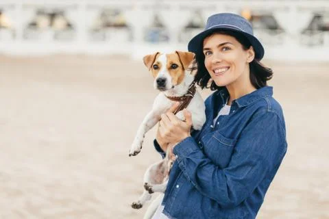 Dog on host`s hands. Stock Photos