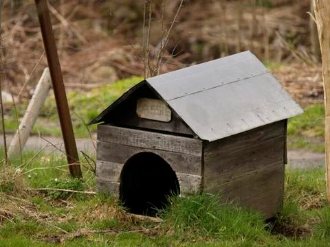 Dog House Foto stock