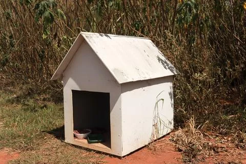 Dog House Stock Photos