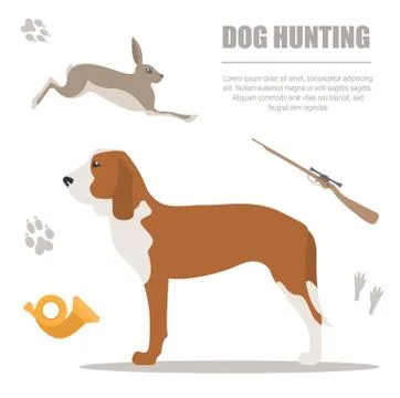 Dog hunting. Flat style. 스톡 일러스트