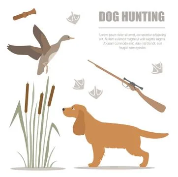 Dog hunting. Flat style. 스톡 일러스트