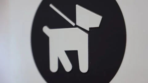 Dog Icon Sign Stock Footage 313812206