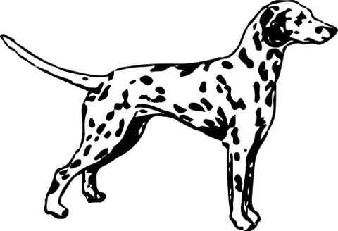 Dog icon on white background Stock Illustration