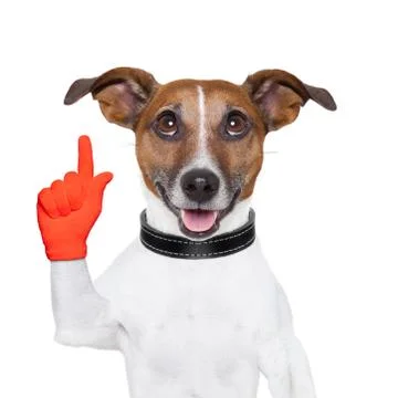 Dog idea Foto stock