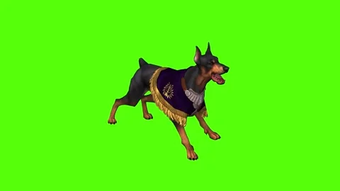 Dog Idle Green Screen Animation 4K Rendering Stock Footage 295558024