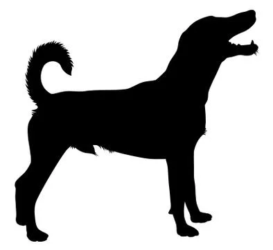 Dog Stock Illustration