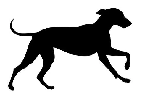 Dog Stock Illustration