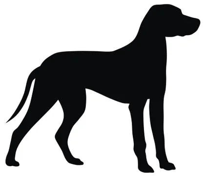 Dog Stock Illustration