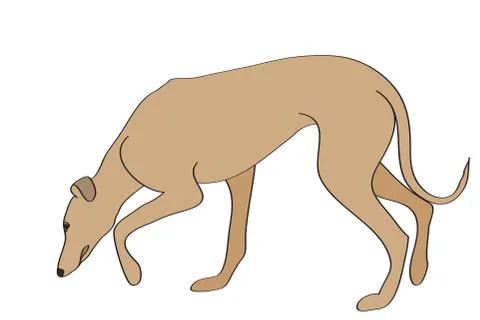 Dog Stock Illustration
