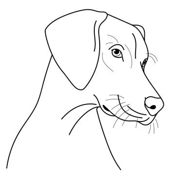 Dog Illustration Stock Illustration