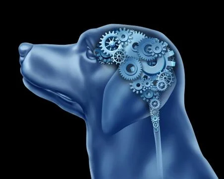 Dog intelligence Stock Illustration