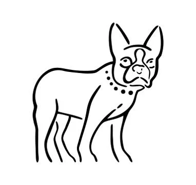 Dog isolated on white background. Stock Illustration