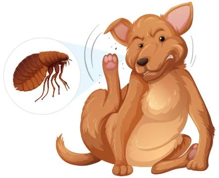 Dog itching flea concept Stock Illustration