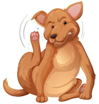 Dog itching white background Stock Illustration