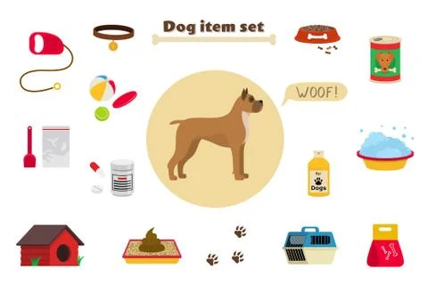 Dog items set care object and stuff. Elements around the dog. 库存插图