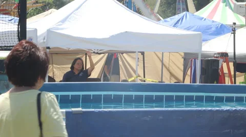 Dog Jump Stock Footage 27816702