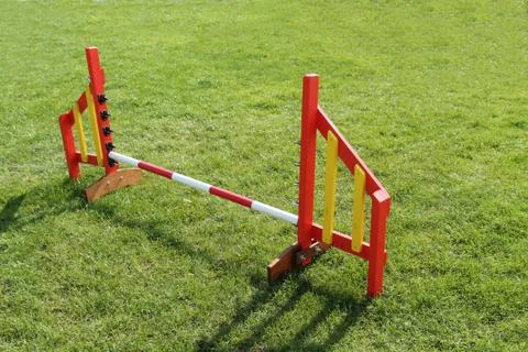 Dog Jump. Stock Photos