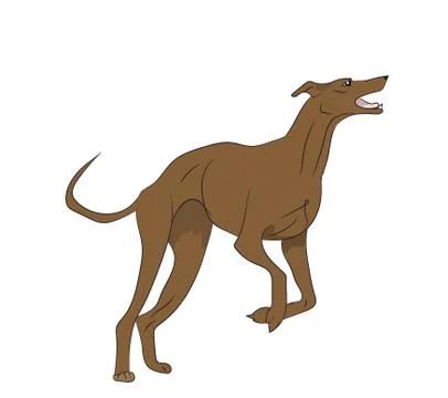 The dog is jumping, color, vector Stock Illustration