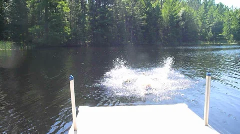 Dog Jumping off Dock into Lake Stock Footage 27245055