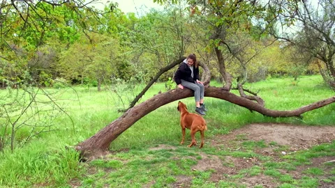 Dog jumping high on tree log and girl is shocked and impressed with it. Stock Footage 130400663