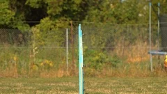 Malinois best sale jumping fence