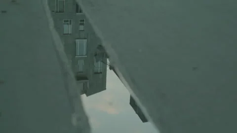 Dog Is Jumping Over A Puddle Video Stock Footage 273707948