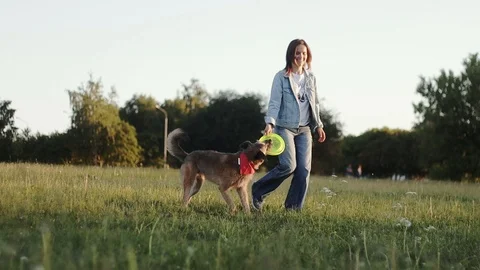 The dog is jumping from the woman's back trying to catch the frisbee. Stock-Footage 109475882
