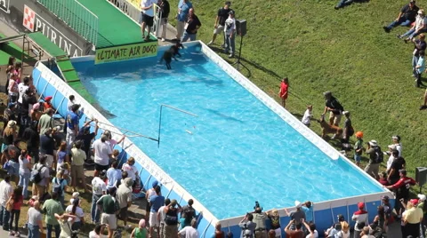 Dog Jumps into Pool during competition Vídeo Stock 947111