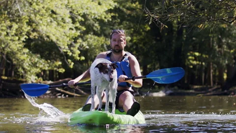A dog on a kayak Stock Footage 138599429