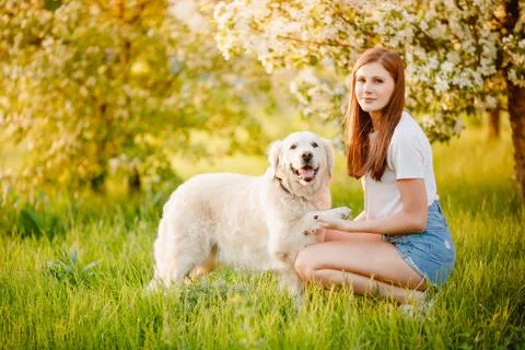 Dog Labrador Retriever executes command to give paw owner, summer park 스톡 사진
